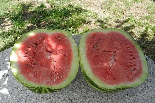 梦见许多人在一起吃瓜,众人共享瓜果盛宴的神秘寓意