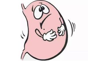 肠胃不好的人可以吃秋瓜,秋瓜养生之道