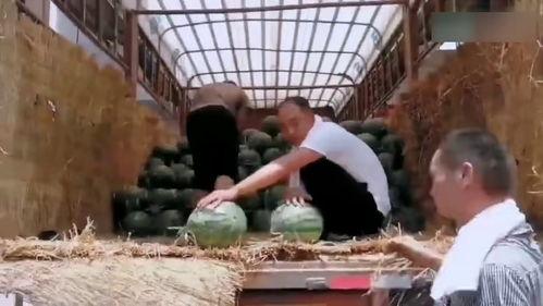 大学电梯吃瓜,揭秘校园里的“吃瓜”风云