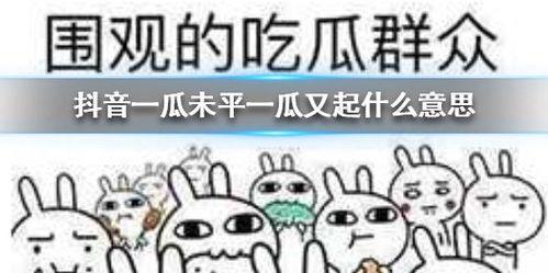 抖音年度吃瓜,盘点那些让人笑到肚子疼的瞬间