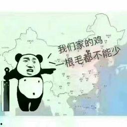大城吃瓜道歉