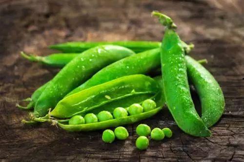 吃瓜的豆子,吃瓜豆子的趣味生活点滴