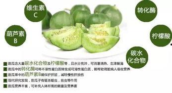 南阳瓜怎么吃,解锁夏日清新美味
