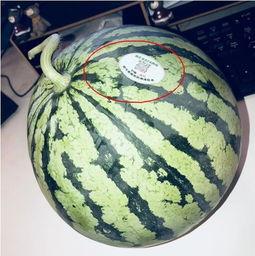 景区吃瓜网红,揭秘网红美食背后的故事