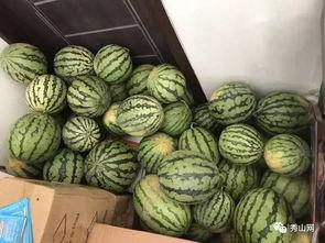 东营吃瓜群,揭秘当地美食文化圈