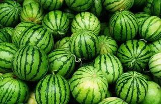 东营吃瓜群,揭秘当地美食文化圈