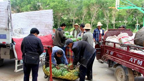 北张村吃瓜群众,揭秘乡村生活百态