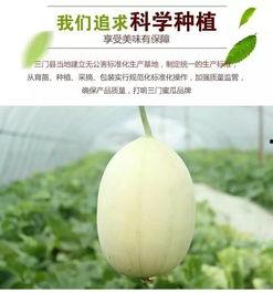 吃瓜圈台州,揭秘当地美食文化盛宴