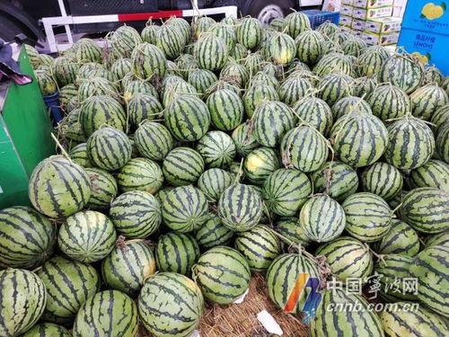 宁波大学吃瓜,吃瓜群众眼中的校园美食盛宴