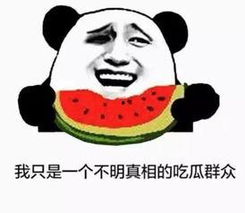 吃瓜些你吃嘛刷刷刷,刷刷刷，瓜果飘香