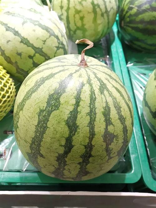 吃瓜吃个大瓜,吃瓜群众吃出的大瓜事件全解析