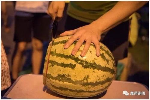 熟练吃瓜,揭秘熟练吃瓜者的独门秘籍