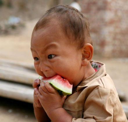 闹腾男孩吃瓜,闹腾男孩的瓜田奇遇记