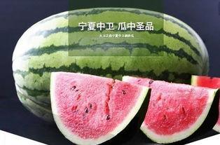 开端鱼吃瓜,鱼吃瓜背后的生态奥秘