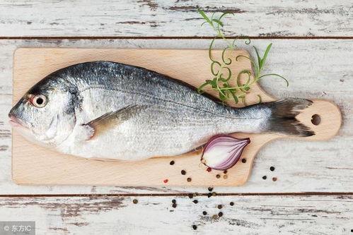 开端鱼吃瓜,鱼吃瓜背后的生态奥秘