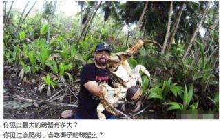 平潭爬树吃瓜,爬树吃瓜的生态趣事