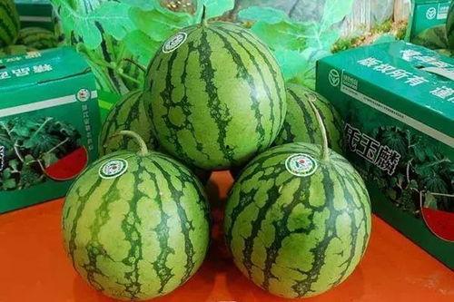 菏泽近期吃瓜事件,揭秘近期网络热议事件背后的真相