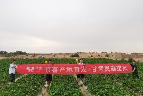 京喜吃瓜节,全民狂欢，瓜果飘香，优惠享不停！