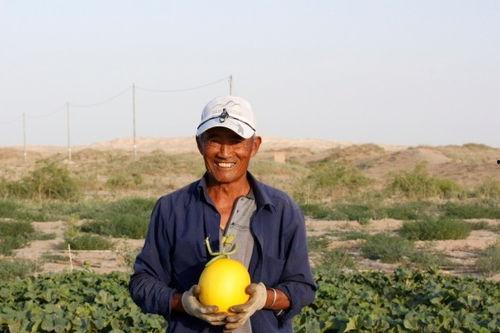 京喜吃瓜节,全民狂欢，瓜果飘香，优惠享不停！