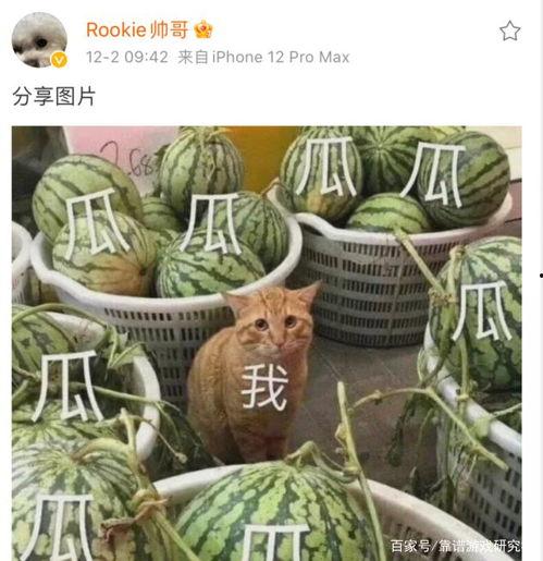 重启 吃瓜,吃瓜群众围观大戏