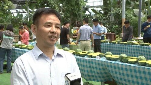 吃瓜副局长怎么拿瓜