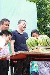 全天下吃瓜群众,揭秘娱乐圈最新热点事件