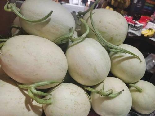 顶流吃瓜4,顶流明星的瓜田奇遇记