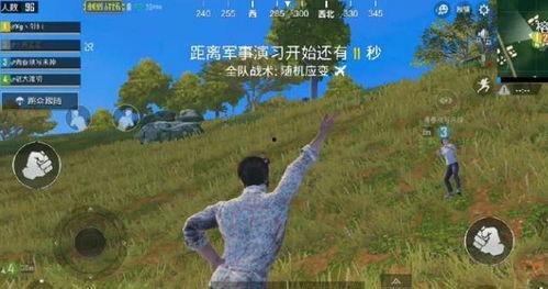 吃鸡大烂瓜,揭秘游戏背后的趣味与争议