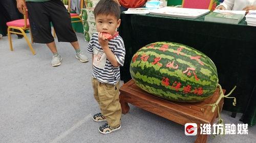 宝贝吃瓜比赛,萌娃欢乐竞技，瓜果飘香童年时光