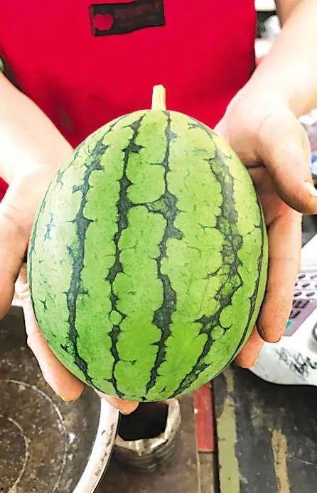 唐县最近吃瓜事件,揭秘背后真相与网络舆论风暴