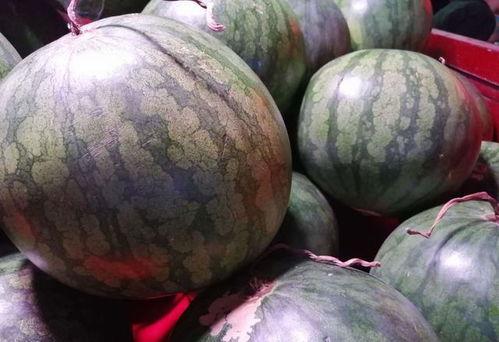 埃及吃瓜的视频,一场视觉与味蕾的盛宴