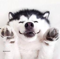 吃瓜尴尬视频大全,笑料百出！吃瓜尴尬瞬间大盘点