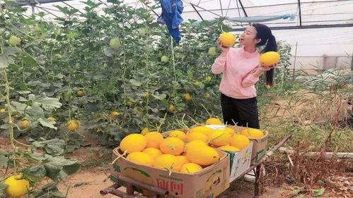 吃瓜蒲城主播,揭秘网络主播的幕后生活