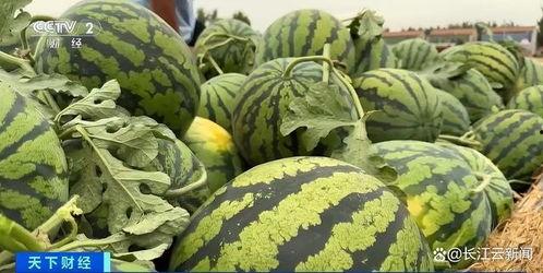 内娱小众吃瓜,那些鲜为人知的吃瓜故事