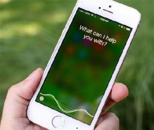 siri吃瓜,揭秘智能语音助手的生活趣事