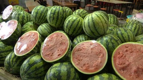 吃瓜8号,一场网络热点的狂欢与反思