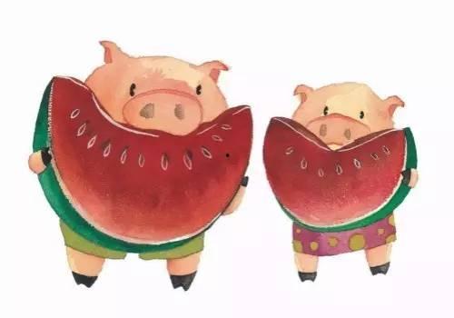 小瓜吃猪,一场奇妙的味蕾冒险