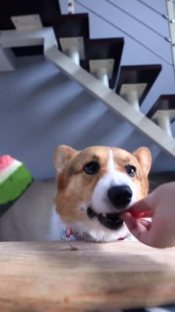 得劲吃瓜,揭秘娱乐圈幕后故事