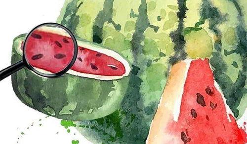 今年吃的瓜总结