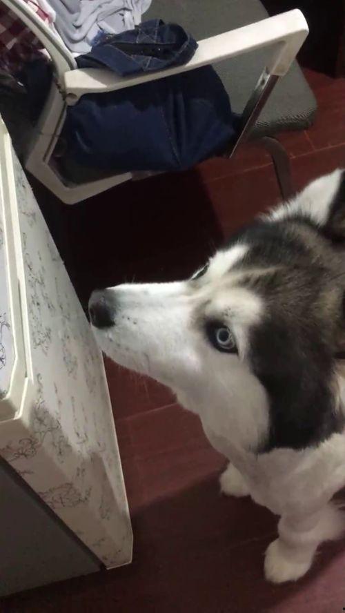 歪着脑袋吃瓜,揭秘网络热点的趣味与真相