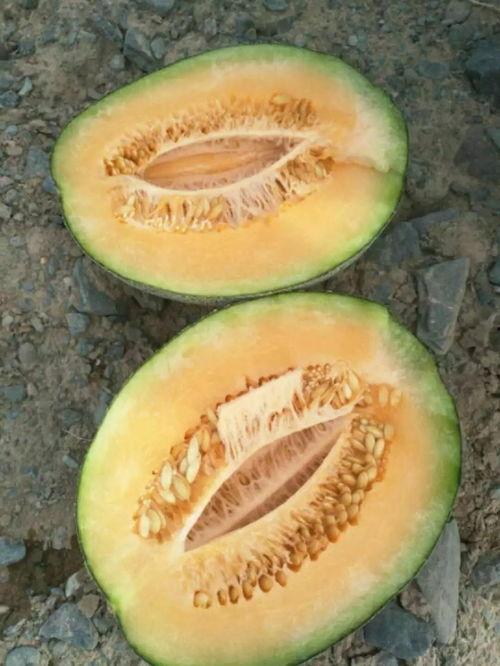 电话吃瓜,揭秘娱乐圈幕后故事