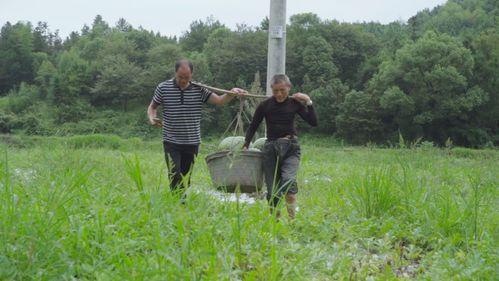 吃瓜小熊新余,揭秘网红美食背后的故事