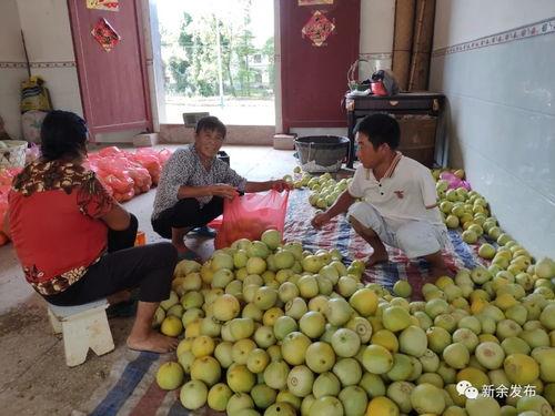 吃瓜小熊新余,揭秘网红美食背后的故事