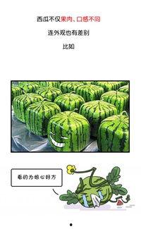 跟历史吃瓜,那些年我们一起“吃瓜”的故事