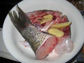 鱼尾吃瓜,揭秘海洋生物的趣味食性