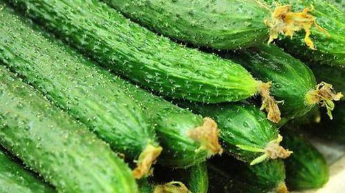 花200吃瓜被骗,揭秘网络诈骗新手段