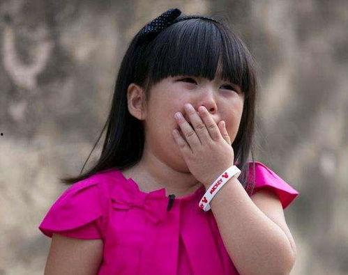 吃瓜小夏紫,揭秘娱乐圈幕后故事