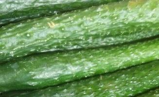 成都武侯吃瓜,瓜果飘香，品味夏日悠闲时光