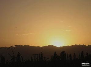 看日落吃瓜,瓜香四溢，尽享悠闲时光