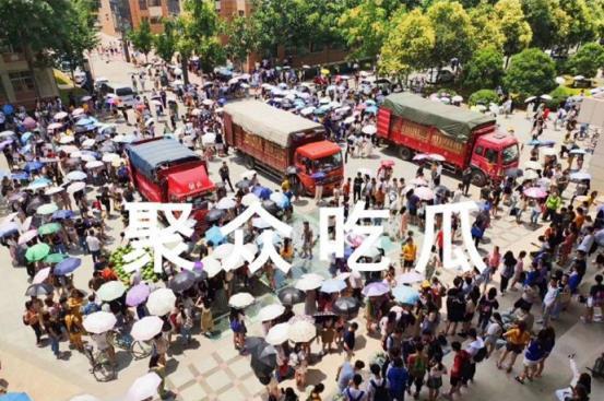 吃瓜国际学校,揭秘校园里的“瓜界风云”